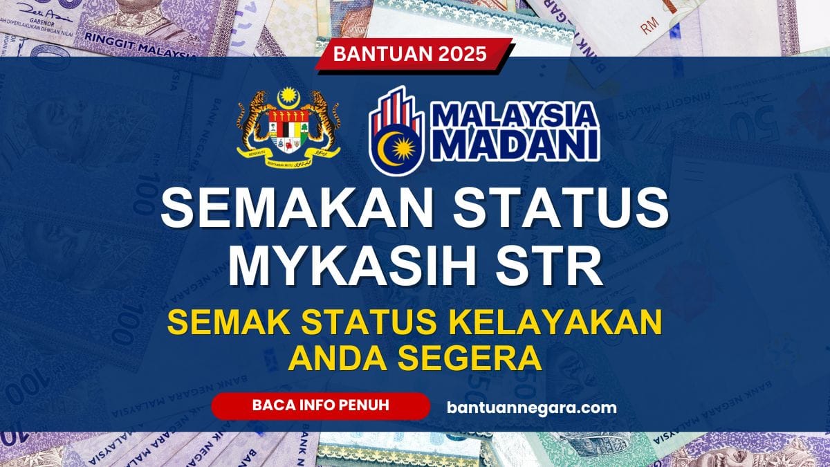 SEMAKAN STATUS MYKASIH STR
